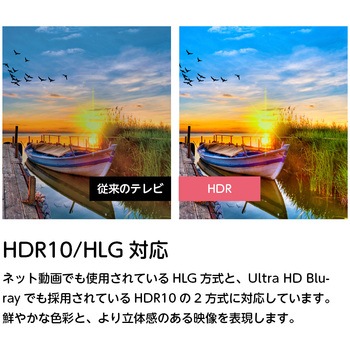 4K チューナーレススマートテレビ オリオン(ORION)
