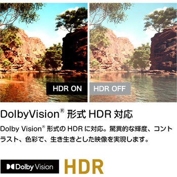 4K チューナーレススマートテレビ オリオン(ORION)