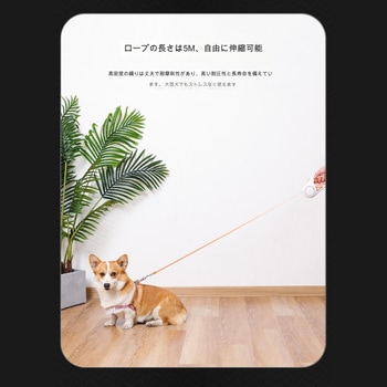 LEDライト付き伸縮リード5m 乾電池式 CRECOTE