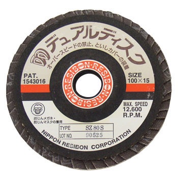 DD100-SZ80 �f���A���f�B�X�N DD (SZ) ���{���a�{�� 06298932