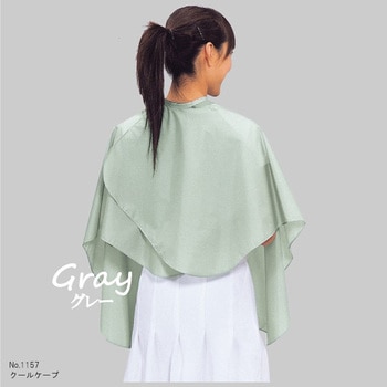 No.1157 クールケープ カトレア本舗
