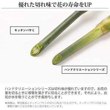 剪定鋏 ハンドクリエーション P180 黒フッ素コーティング 坂源