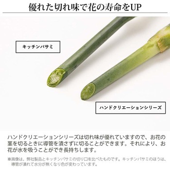 剪定鋏 ハンドクリエーション P180 黒フッ素コーティング 坂源