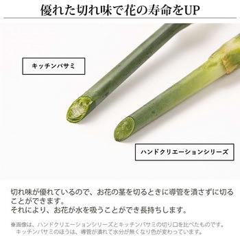 生花鋏 ハンドクリエーション F170 ステライト合金 坂源