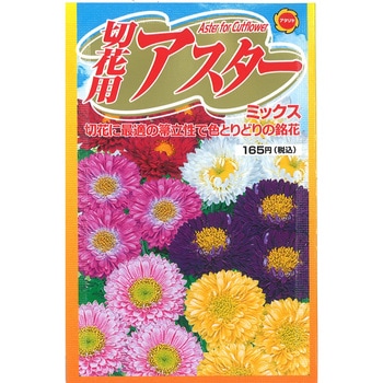 【タネ】切花用アスター ミックス アタリヤ農園