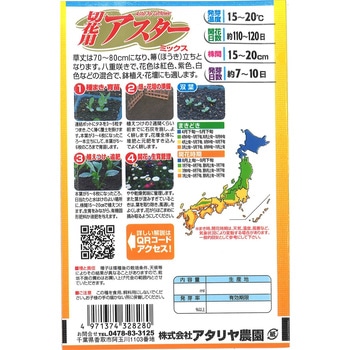 【タネ】切花用アスター ミックス アタリヤ農園