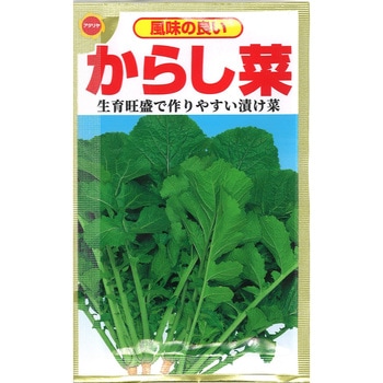 野菜の種　アタリヤ　130＋130＋130＋65＝合計455袋　　送料無料！ CAT774412 【タネ】風味の良い からし菜 1袋 アタリヤ農園 【通販