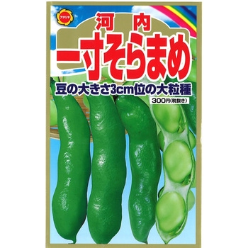 CAT694893 【タネ】河内 一寸そらまめ 1袋 アタリヤ農園 【通販