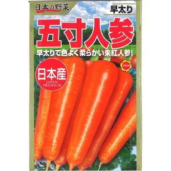 【タネ】日本の野菜 早太り五寸人参 アタリヤ農園