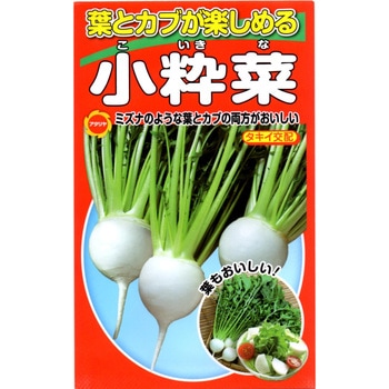 【タネ】葉とカブが楽しめる 小粋菜 アタリヤ農園