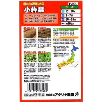 【タネ】葉とカブが楽しめる 小粋菜 アタリヤ農園