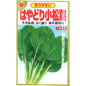 CAT774373 y^lz₷ ͂ǂ菬 A^_ 1 CAT774373 06361586