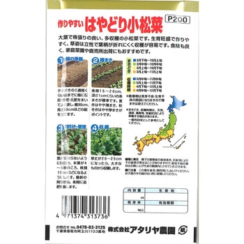 【タネ】作りやすい はやどり小松菜 アタリヤ農園