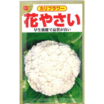【タネ】カリフラワー 花やさい アタリヤ農園