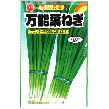 【タネ】風味最高 万能葉ねぎ アタリヤ農園