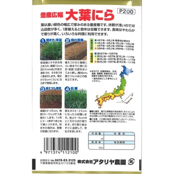 【タネ】豊産広幅 大葉にら アタリヤ農園