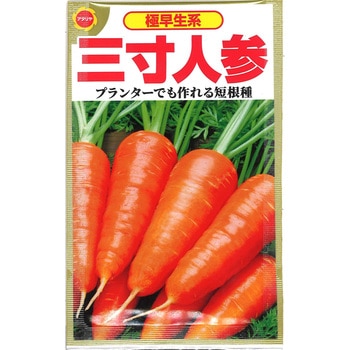 CAT774337 【タネ】極早生系 三寸人参 1袋 アタリヤ農園 【通販