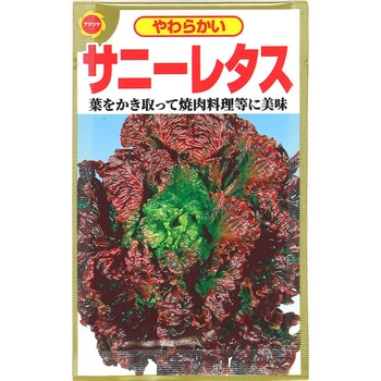 【タネ】やわらかい サニーレタス アタリヤ農園