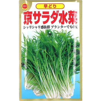 CAT774370 y^lzǂ T_ A^_ 1 CAT774370 06361751