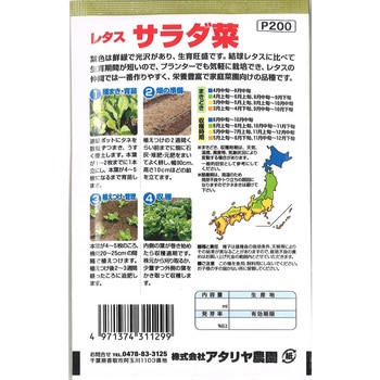 【タネ】レタス サラダ菜 アタリヤ農園