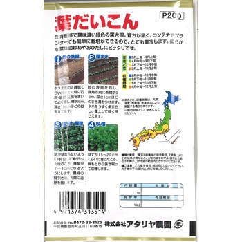 【タネ】四季どり 葉だいこん アタリヤ農園