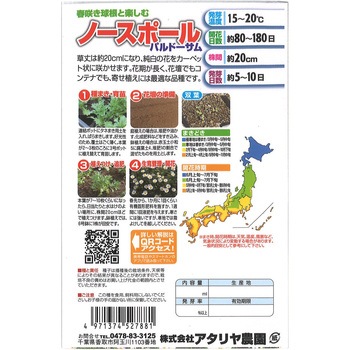 【タネ】春咲き球根と楽しむ ノースポール パルドーサム アタリヤ農園