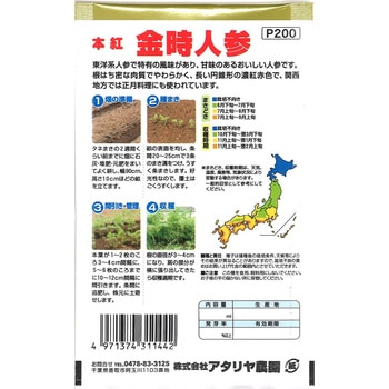 【タネ】本紅 金時人参 アタリヤ農園