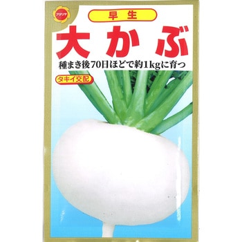 【タネ】早生 大かぶ アタリヤ農園