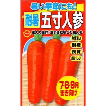 【タネ】暑い季節にも! 耐暑五寸人参 アタリヤ農園