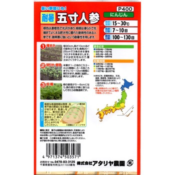 【タネ】暑い季節にも! 耐暑五寸人参 アタリヤ農園