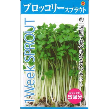 【タネ】スプラウト ブロッコリー アタリヤ農園