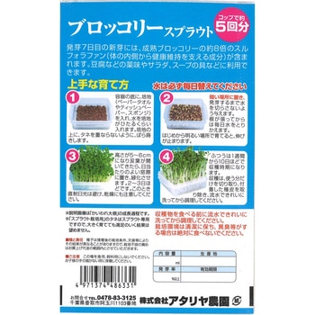 【タネ】スプラウト ブロッコリー アタリヤ農園