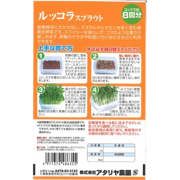 【タネ】スプラウト ルッコラ アタリヤ農園