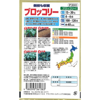 【タネ】側枝も収穫 ブロッコリー アタリヤ農園