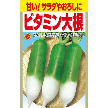 菜根譚　☆美品 ニンジン 濱美人｜種（タネ）,球根,苗,資材,ガーデニンググッズの通販