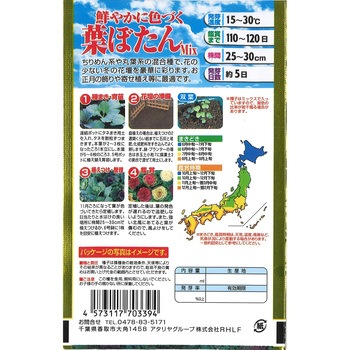 【タネ】鮮やかに色づく 葉ぼたん Mix アタリヤ農園