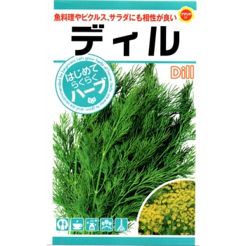 【タネ】ディル はじめてらくらくハーブ アタリヤ農園
