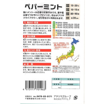 【タネ】ペパーミント はじめておうちハーブ アタリヤ農園