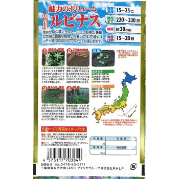 【タネ】魅力のボリューム 切花用ルピナス アタリヤ農園