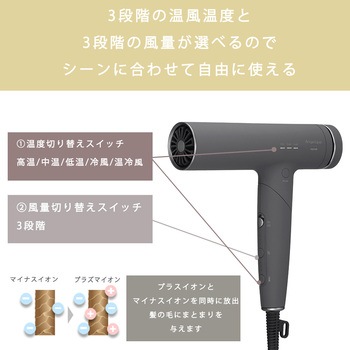 Angelique(アンジェリーク) プラズマイオンヘアドライヤー マクセル