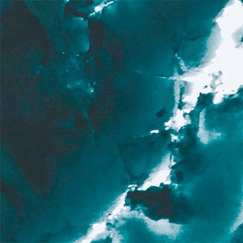 1220x915mm セルシオ/エコセル 大一産業 06416489