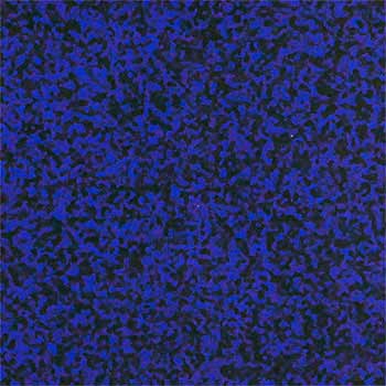 セルシオ/エコセル 大一産業