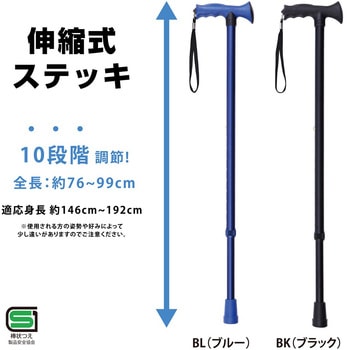 エコノミータイプ 花柄折りたたみ式ステッキ ナカバヤシ