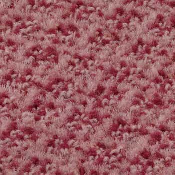 24�� �G���N���[���}�b�g ���Y�� �i�C�����E����r 06461343