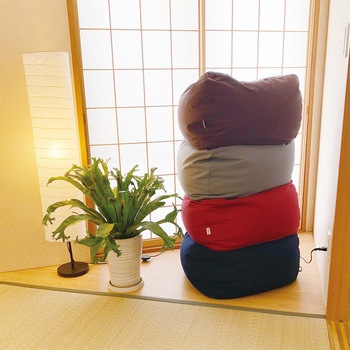 三角フィット座ブトン 本体・カバーセット MOGU