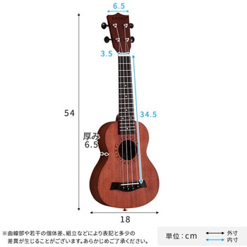 初心者でも始めやすい ウクレレ 12点セット 21インチ(ソプラノ) ホームテイスト