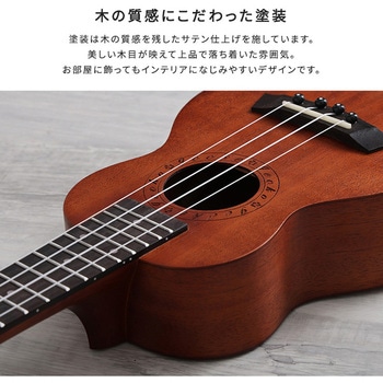 初心者でも始めやすい ウクレレ 12点セット 21インチ(ソプラノ) ホームテイスト