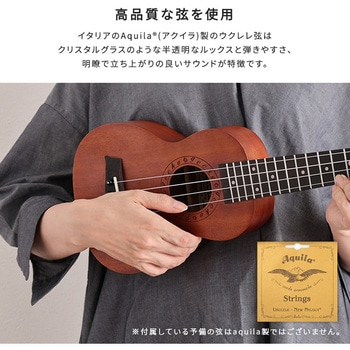 初心者でも始めやすい ウクレレ 12点セット 21インチ(ソプラノ) ホームテイスト