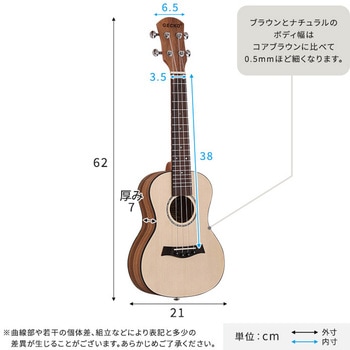 初心者でも始めやすい ウクレレ 13点セット 23インチ(コンサート) ホームテイスト