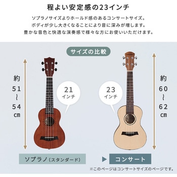 初心者でも始めやすい ウクレレ 13点セット 23インチ(コンサート) ホームテイスト